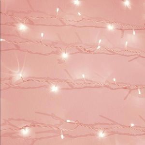 Meet your Posher, Adelisa